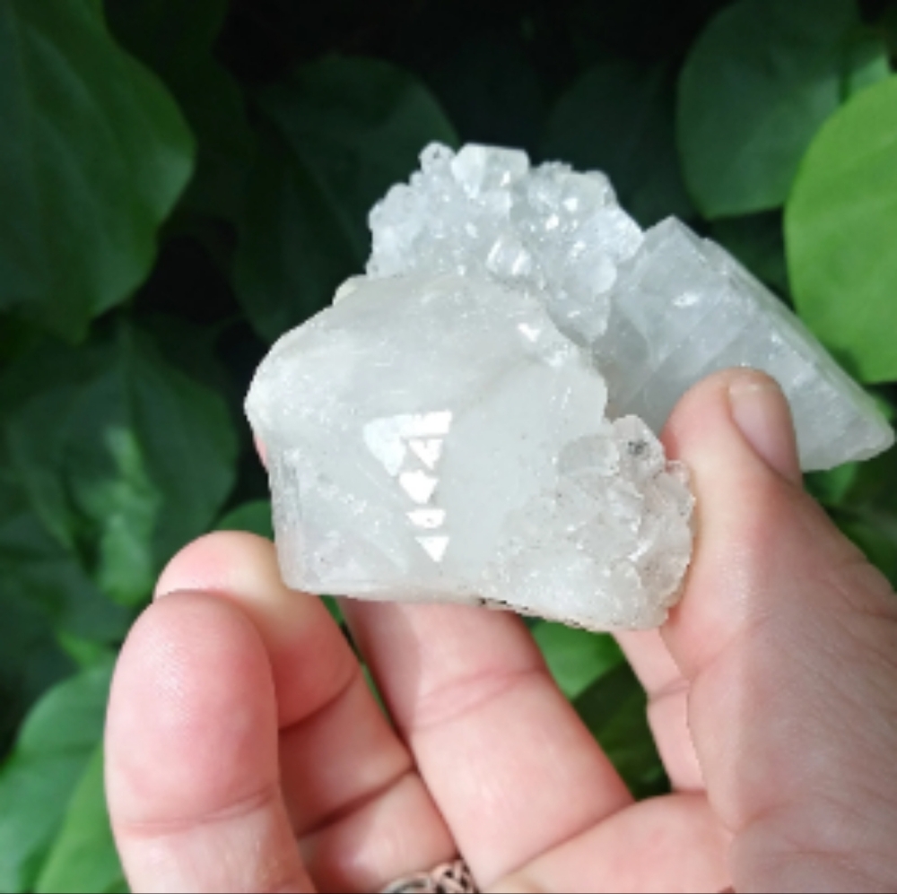 Apophyllite Crystal Cluster - Picture 6 of 10